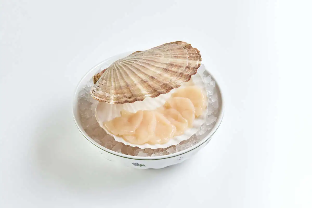 Живой гребешок в раковине