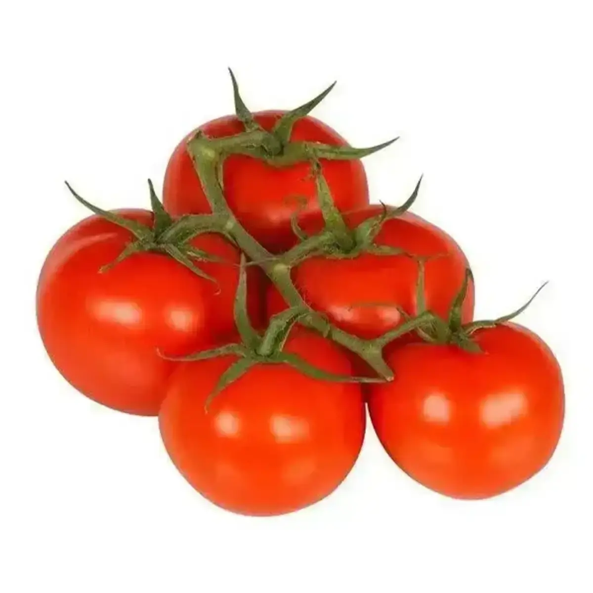 Помидоры на ветке(м)