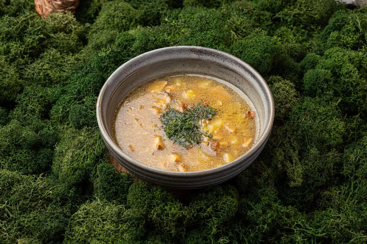 Грибница из белых грибов