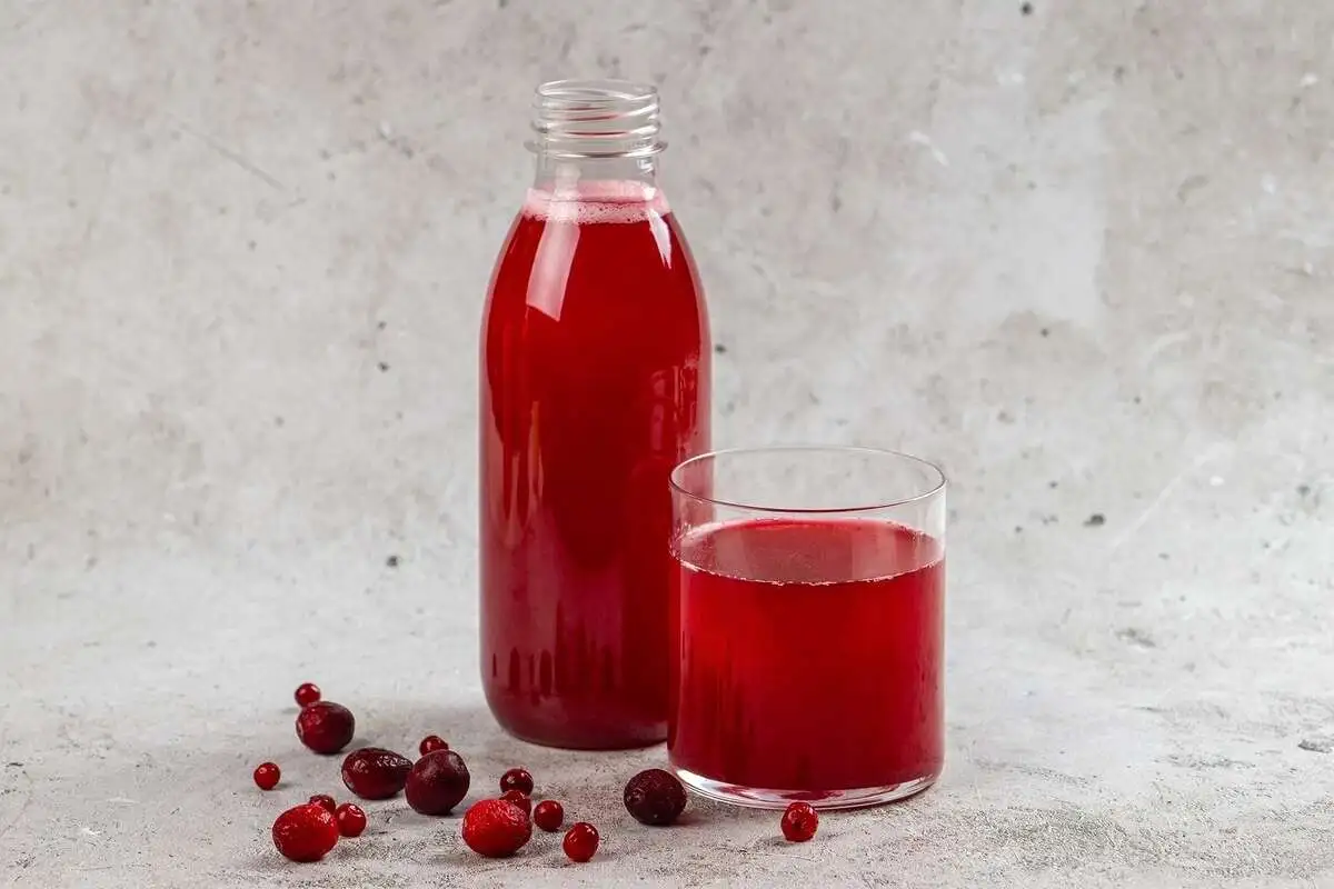 Морс "Брусника" 0,2 мл.