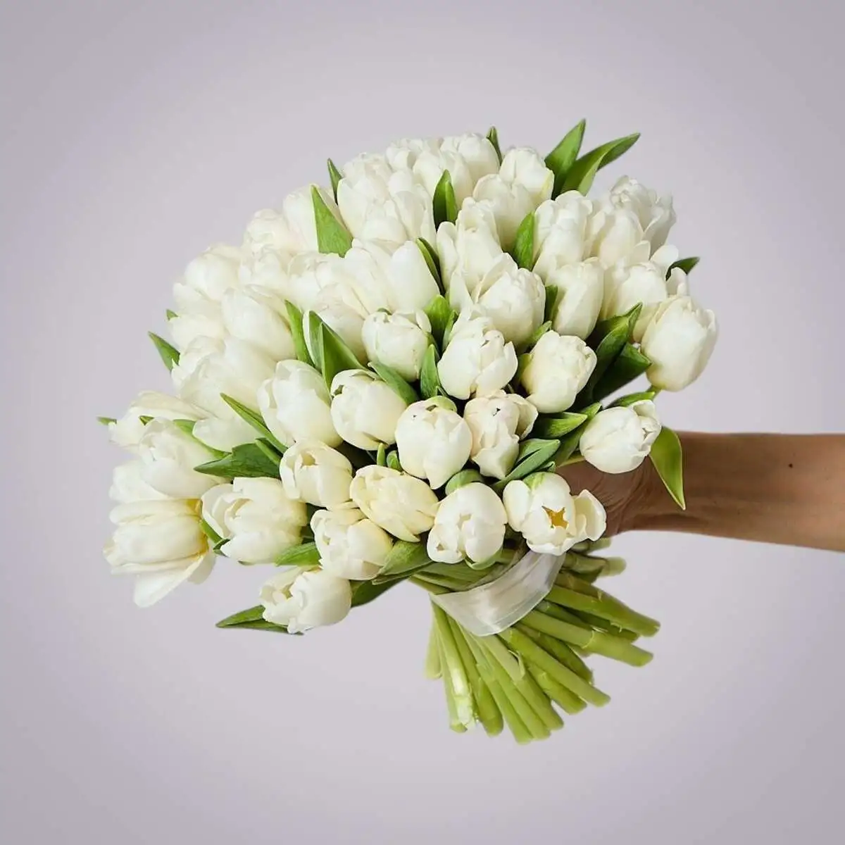 slide-https://cdn.smt.bz/uploads/media/photo/7501955/monobuket-51-belyy-tyulpan-.webp