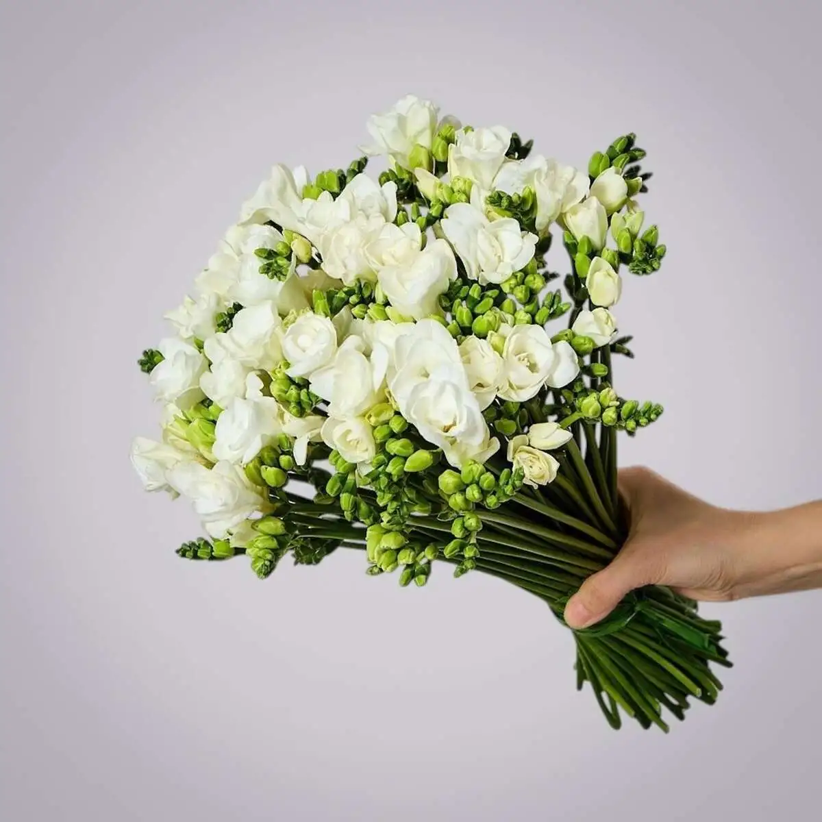 slide-https://cdn.smt.bz/uploads/media/photo/7504508/monobuket-iz-49-belykh-freziy-.webp