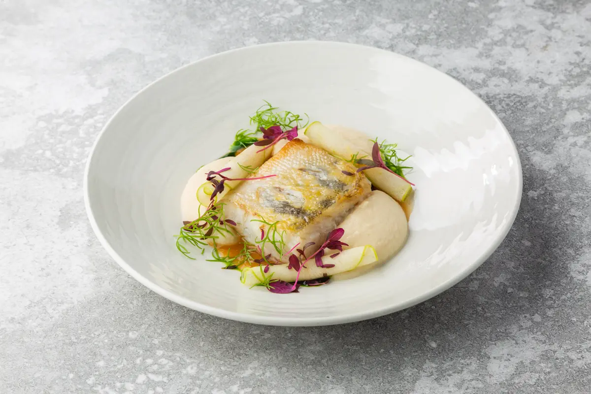 Новгородский судак с пюре из сельдерея