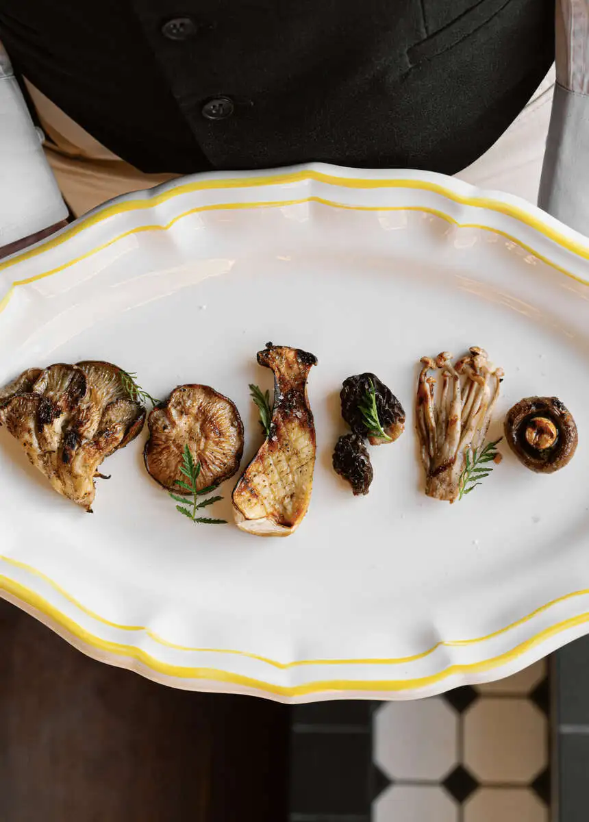 Шесть грибов