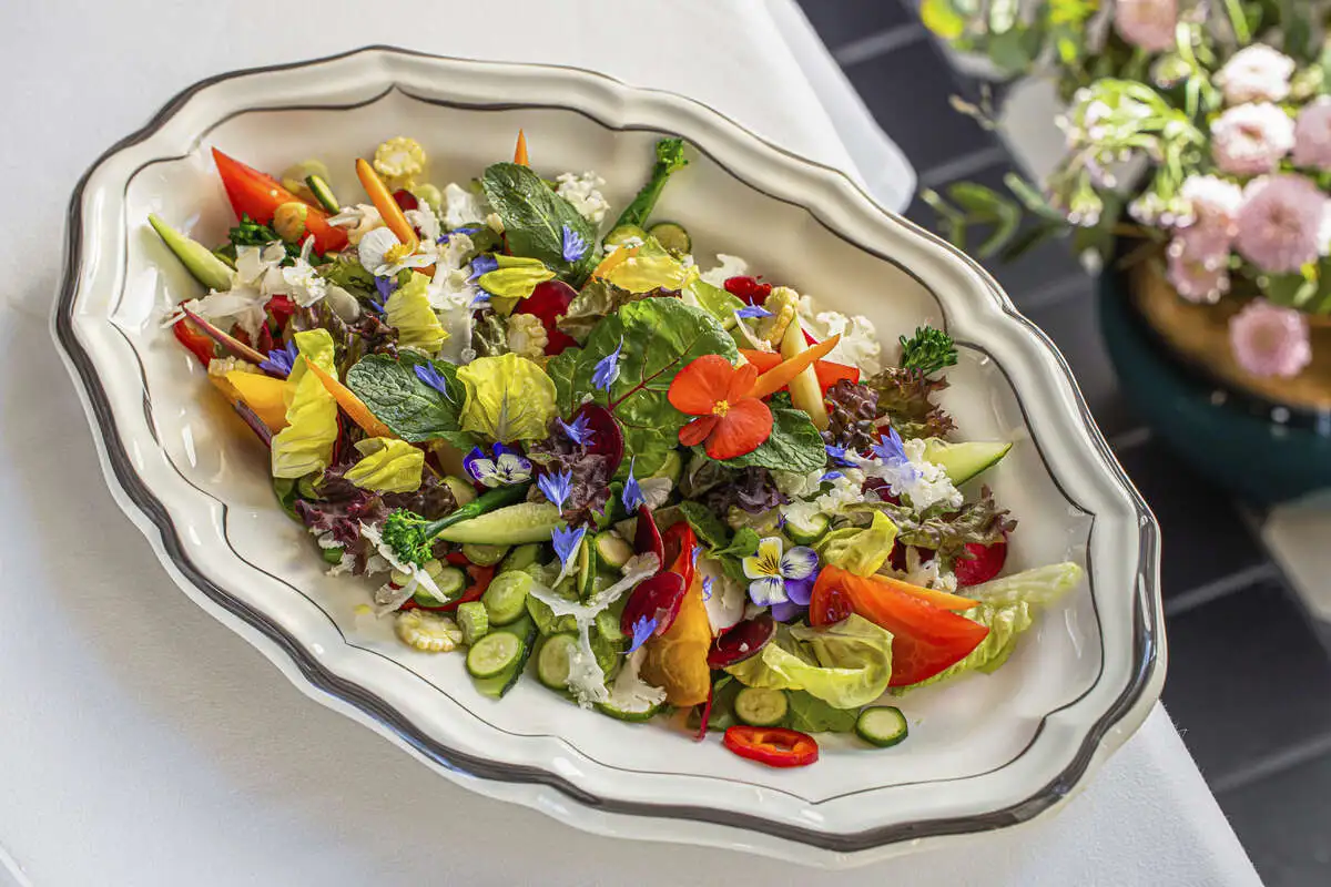 Гранд-салат из сезонных овощей и ароматных трав