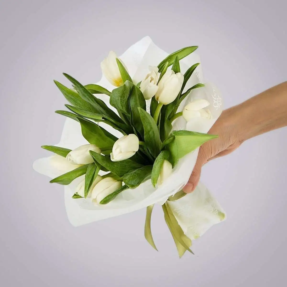 slide-https://cdn.smt.bz/uploads/media/photo/7535056/monobuket-iz-11-belykh-tyulpanov-v-upakovke-.webp