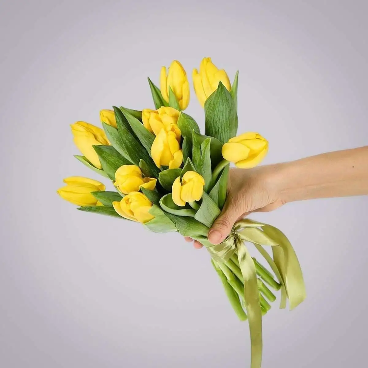 slide-https://cdn.smt.bz/uploads/media/photo/7535059/monobuket-iz-11-zheltykh-tyulpanov-pod-lentu-.webp