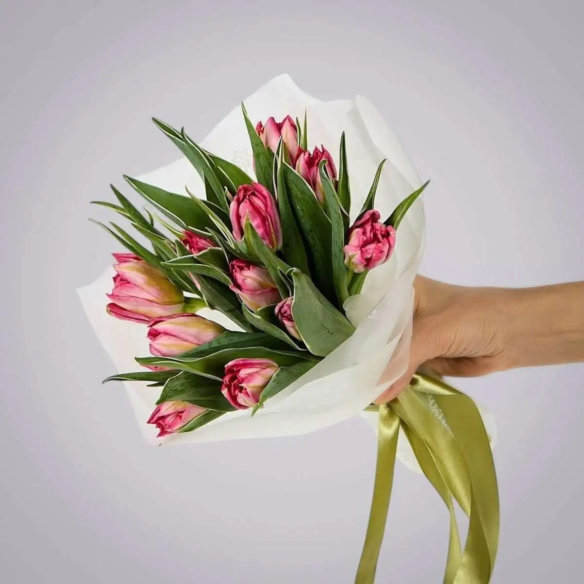 slide-https://cdn.smt.bz/uploads/media/photo/7535065/monobuket-iz-11-svetlo_rozovykh-tyulpanov-v-upakovke-.webp