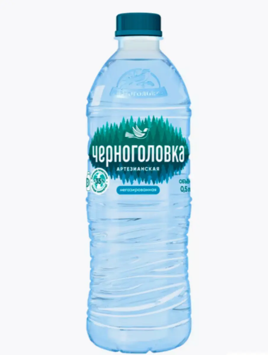 Вода б/г Черноголовка 0,5л