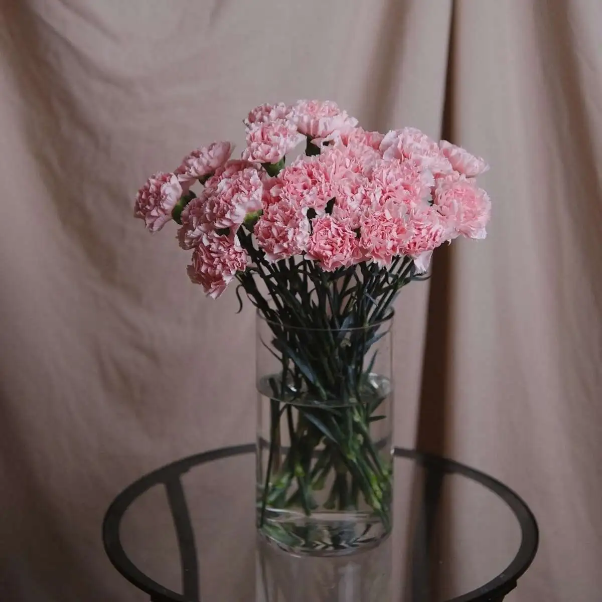 Связка дианутсов