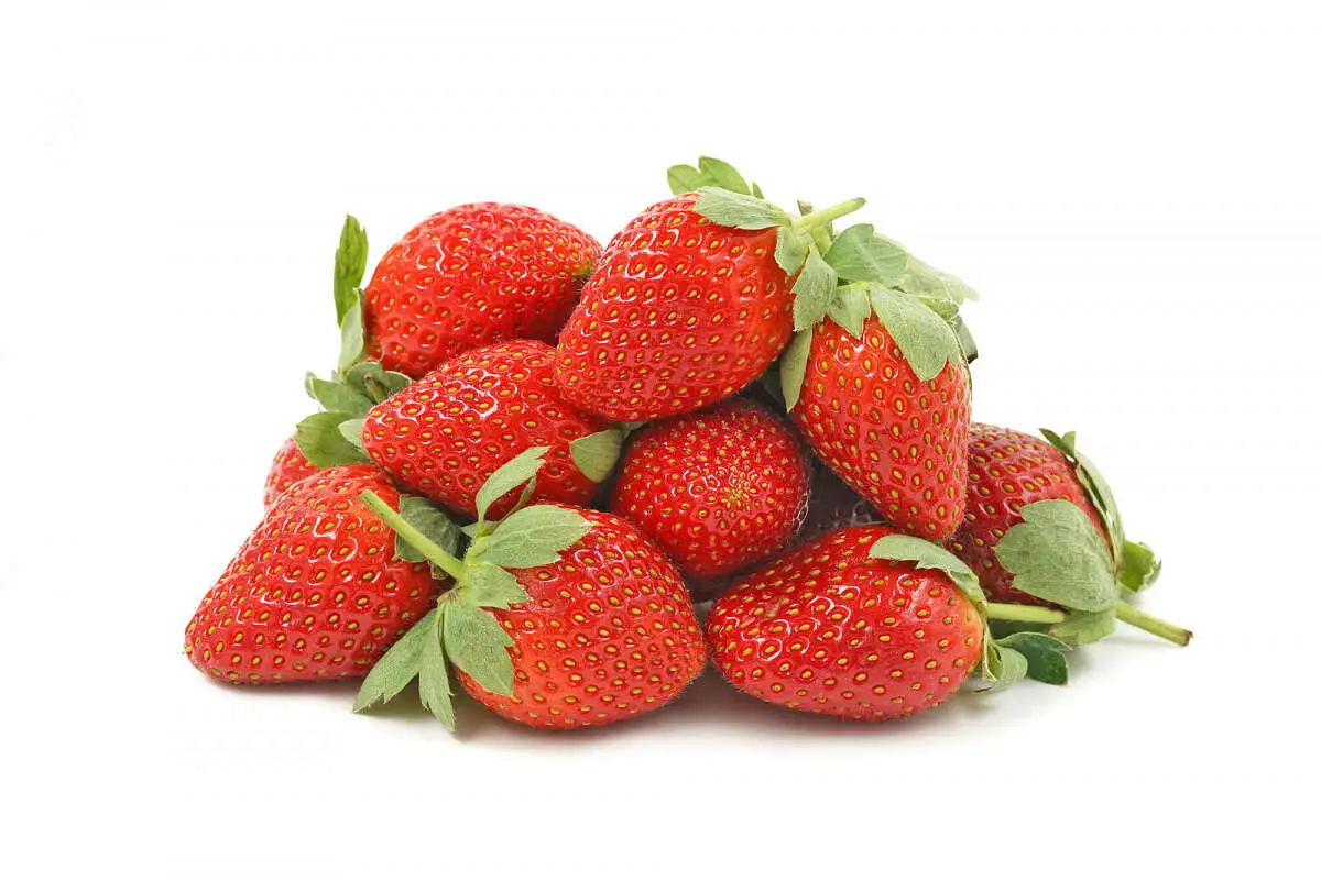 Клубника Свежая