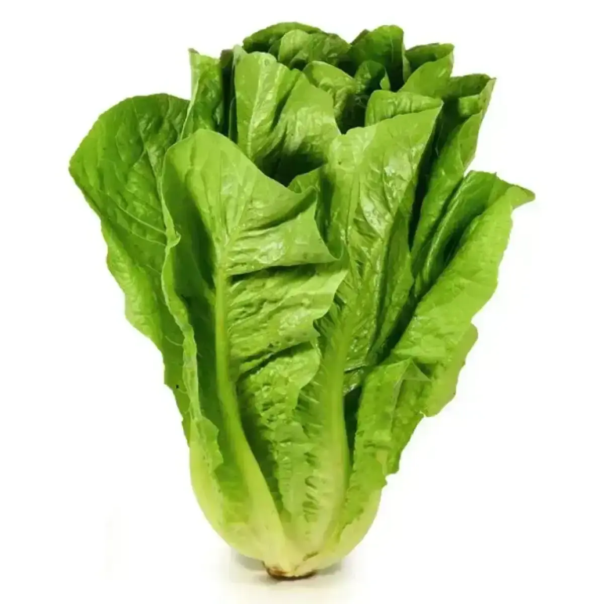 Салат Романо(м)