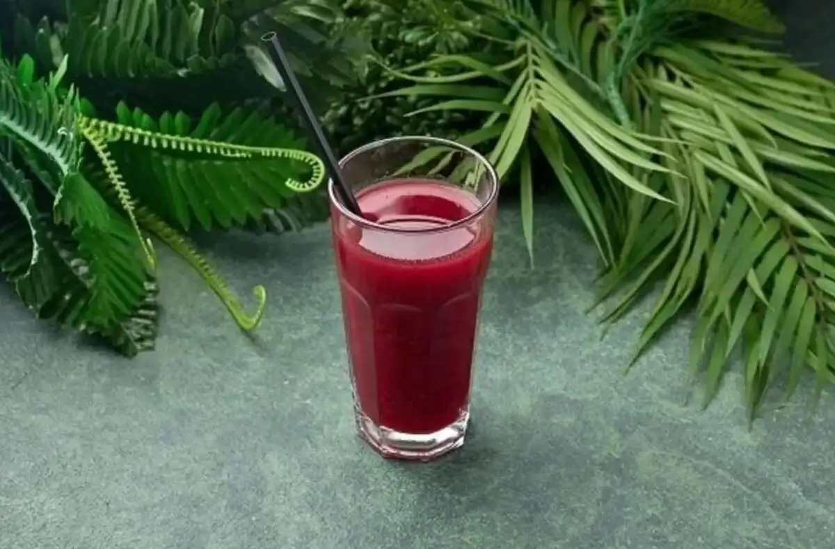 Морс Смородиновый 250 мл