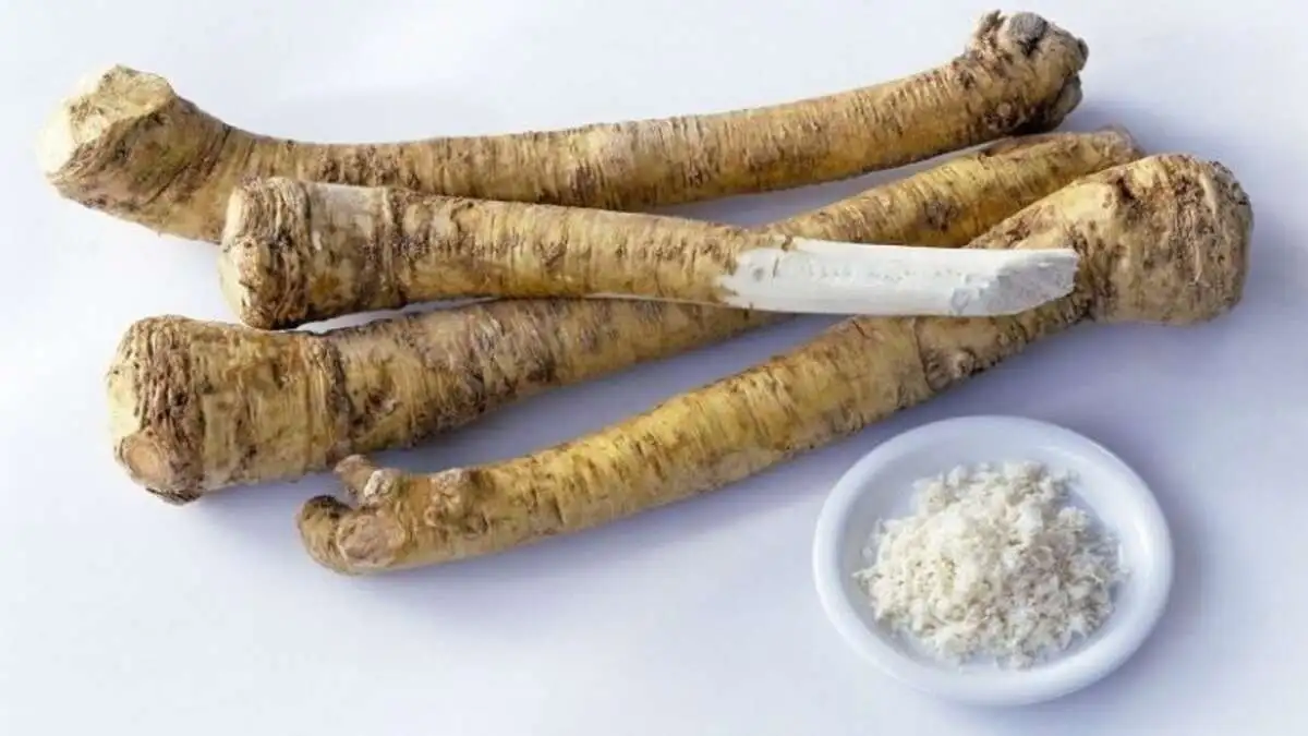 Корень хрена 1 шт.