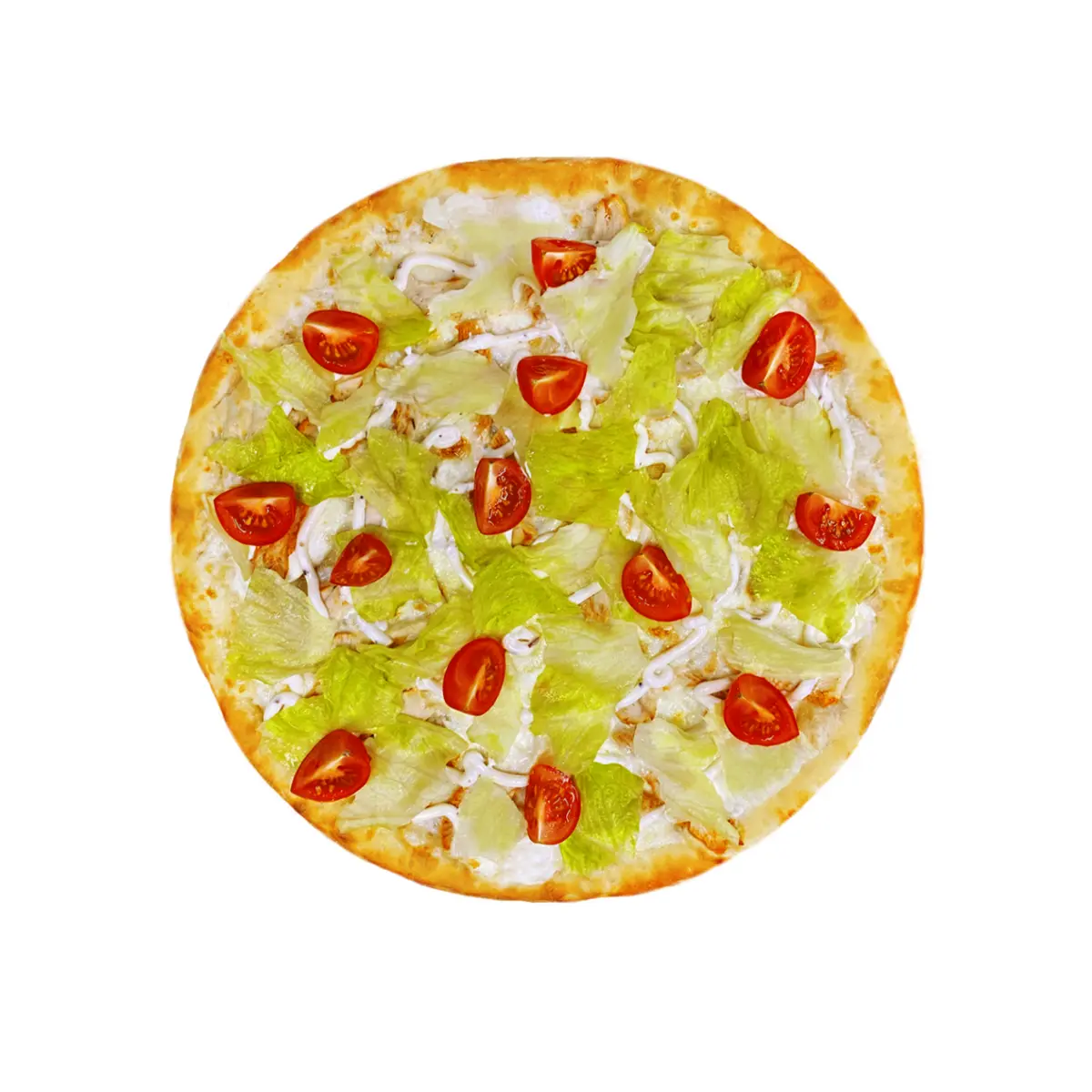 Цезарь 33 см XL