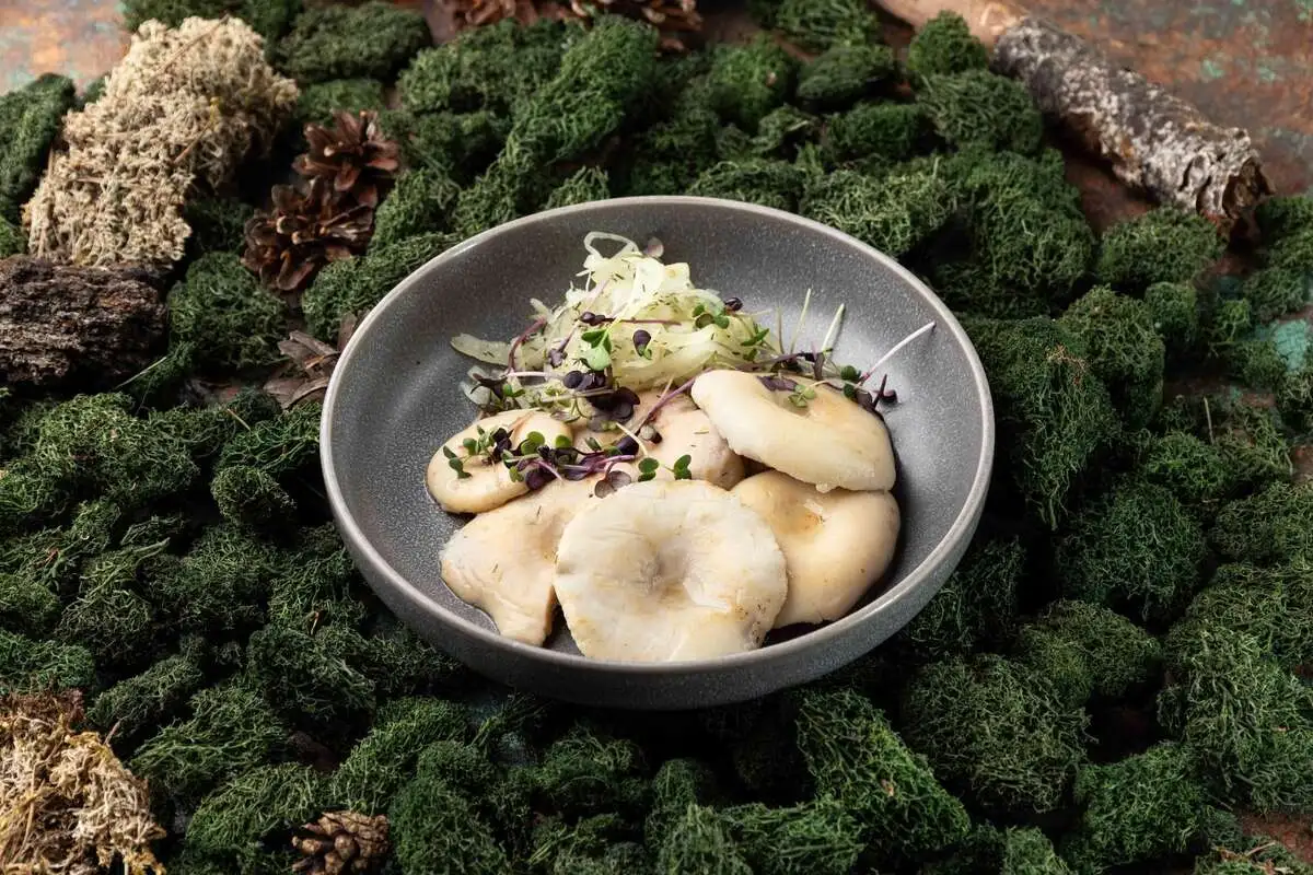 Грузди соленые сухие с маринованным луком и сметаной 