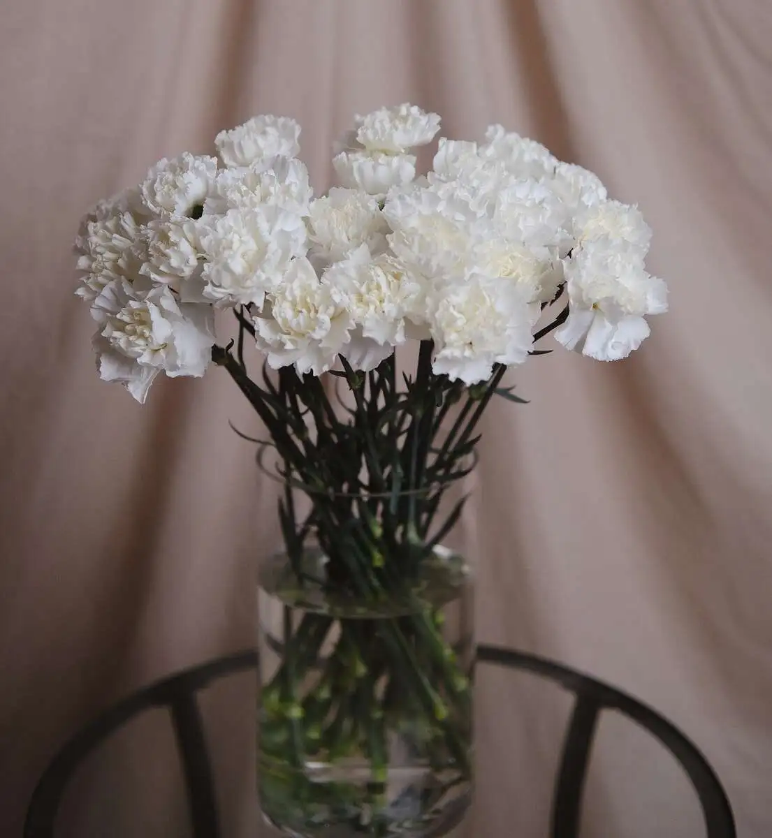 Букет "Связка белых диантусов"