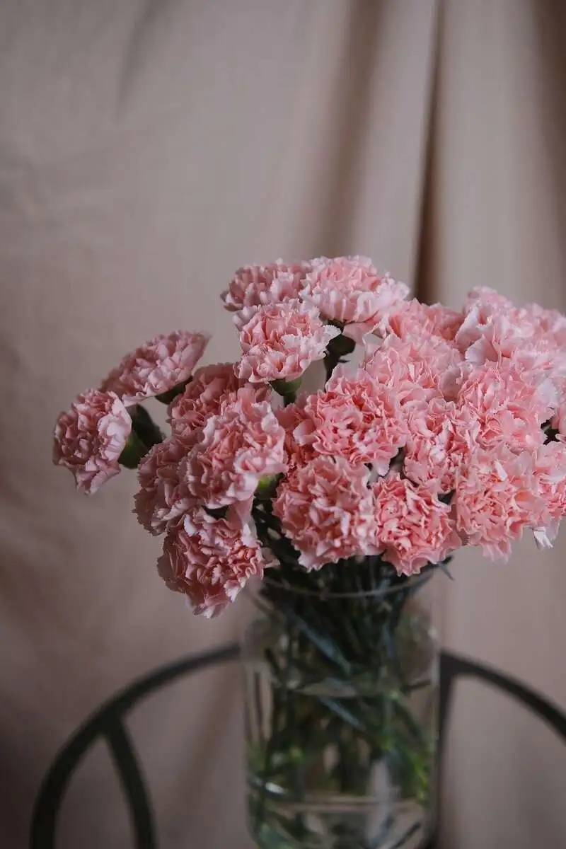 Букет "Связка розовых диантусов"