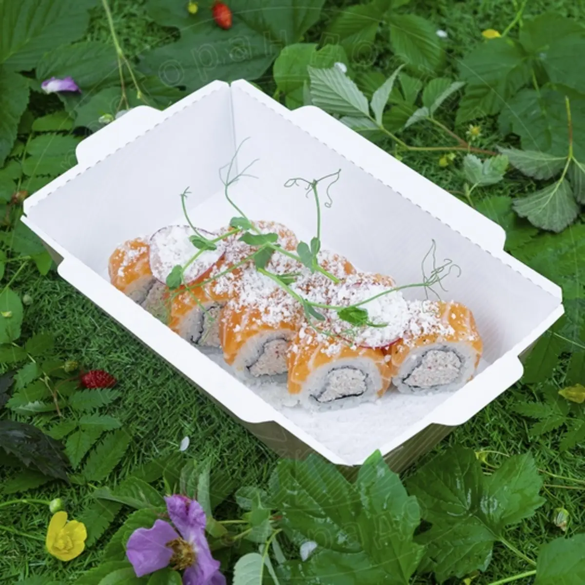 Снежная Филадельфия, слабосоленый лосось