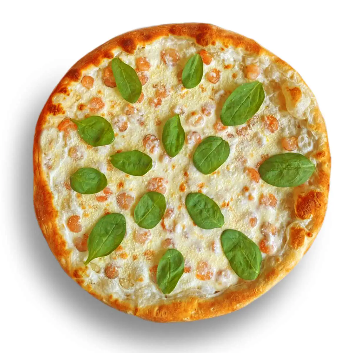 КреветкоМания 33 см XL