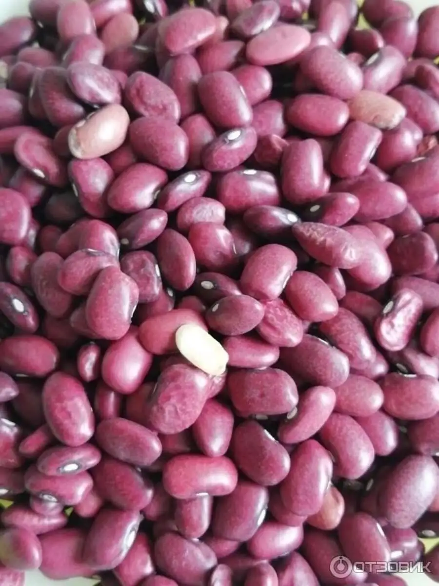 Фасоль Красная Аракс 900гр