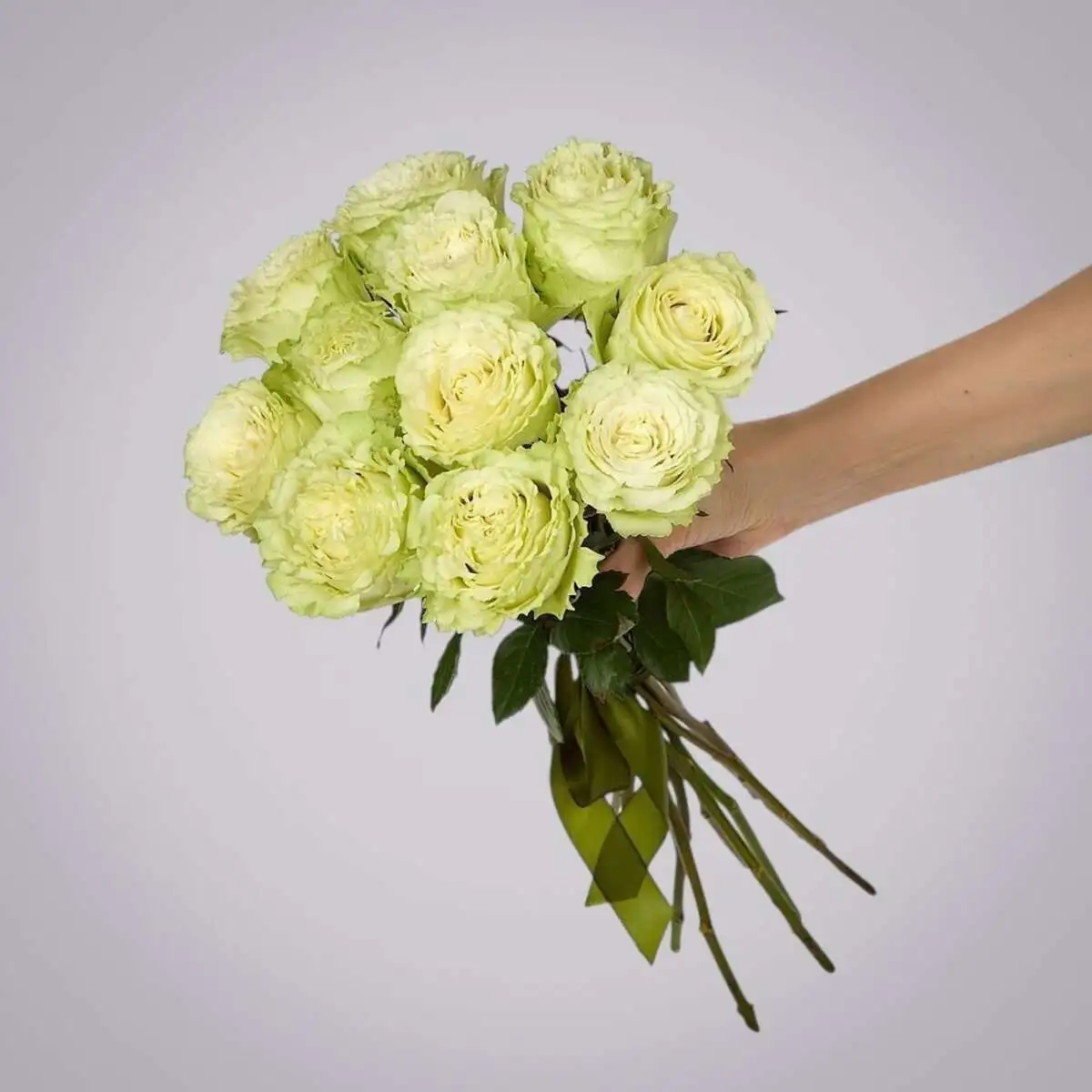 slide-https://cdn.smt.bz/uploads/media/photo/7877972/monobuket-11-pionovidnykh-roz-_lemonade_-pod-lentu-.webp