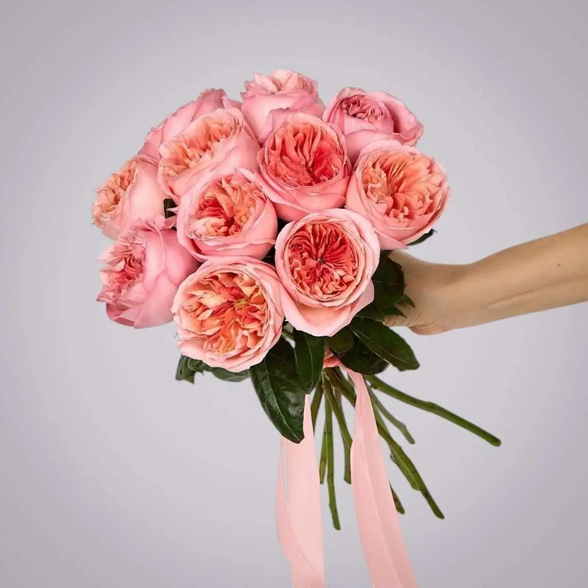 slide-https://cdn.smt.bz/uploads/media/photo/7877973/monobuket-11-pionovidnykh-roz-_pink-x_pression_-pod-lentu-.webp