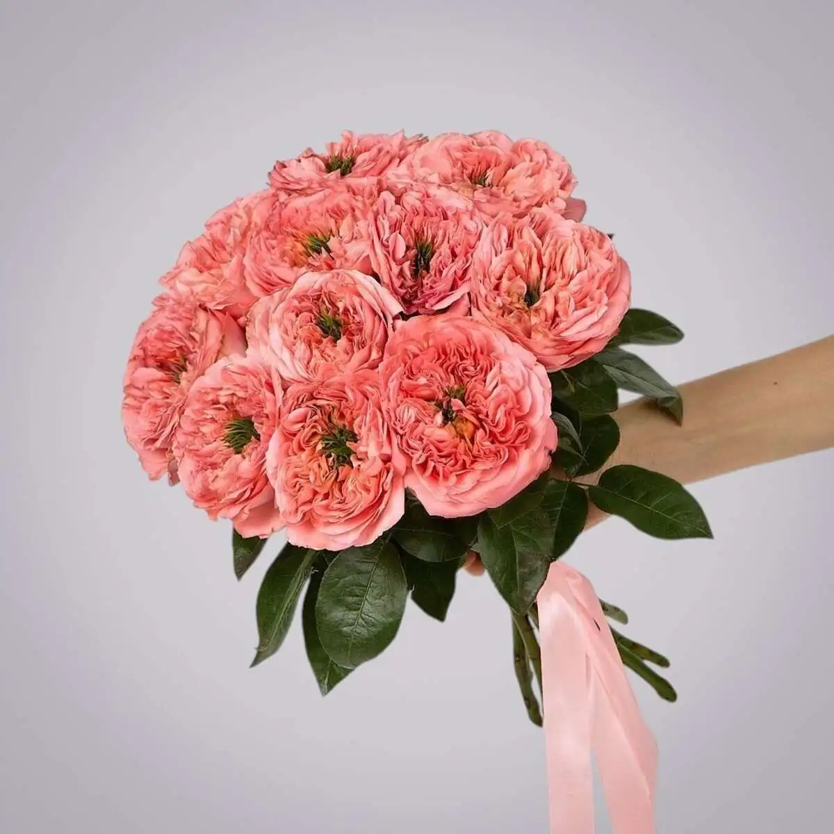 slide-https://cdn.smt.bz/uploads/media/photo/7877977/monobuket-11-pionovidnykh-roz-_mandarin-x_pression_-pod-lentu-.webp