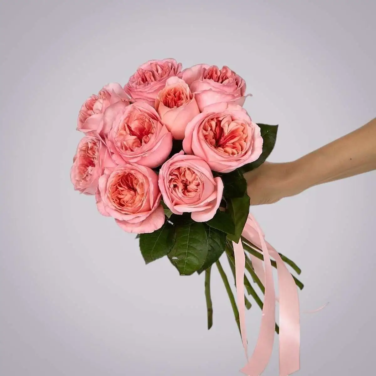 slide-https://cdn.smt.bz/uploads/media/photo/7877991/monobuket-9-pionovidnykh-roz-_pink-x_pression_-pod-lentu-.webp