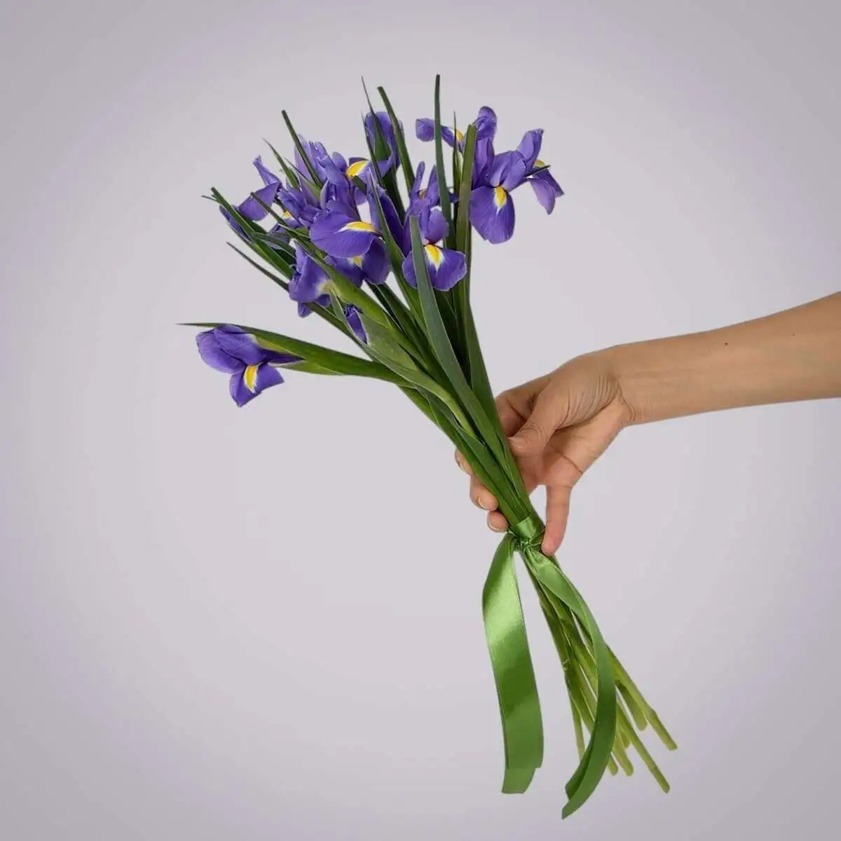 slide-https://cdn.smt.bz/uploads/media/photo/7877998/monobuket-iz-9-sinikh-irisov-pod-lentu-.webp
