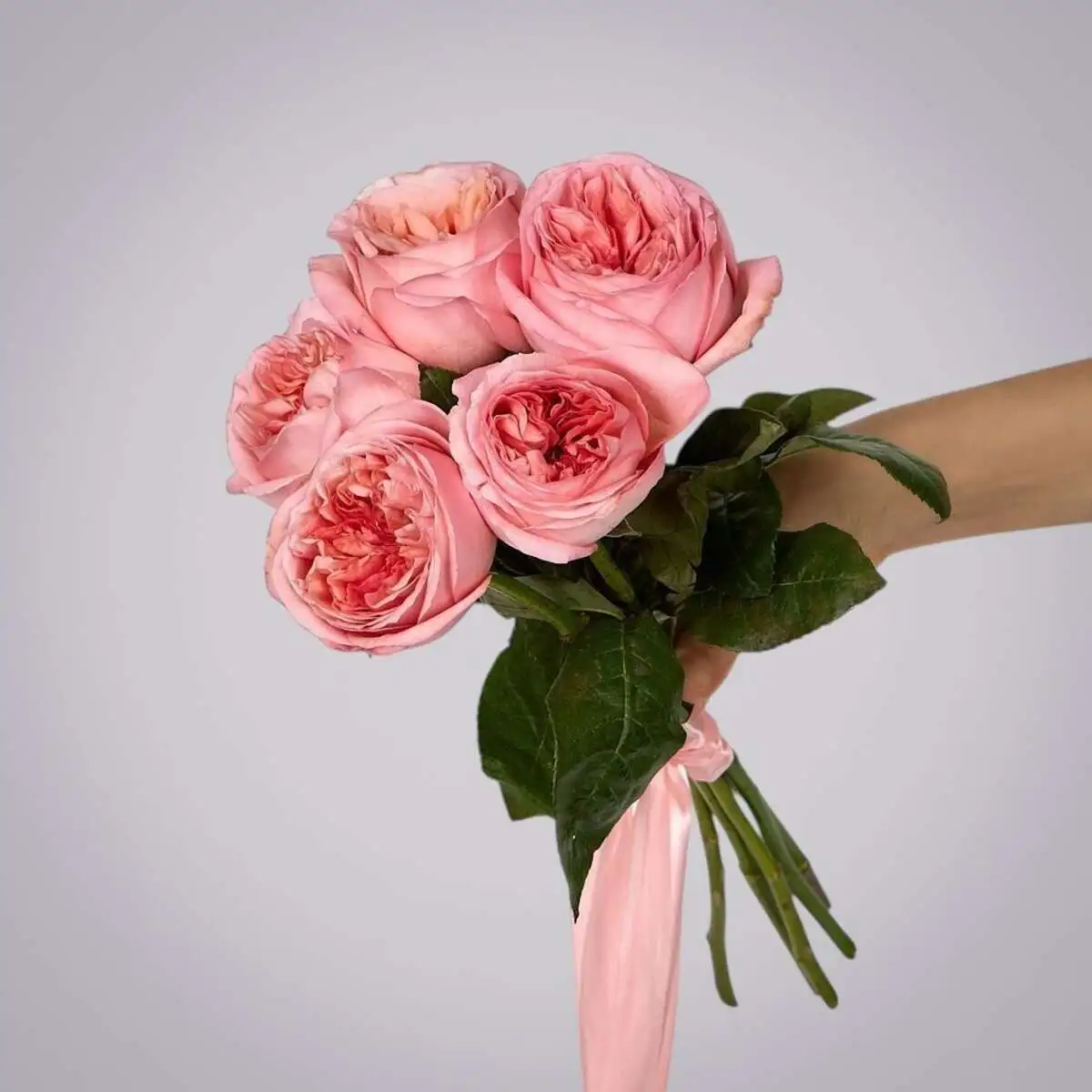 slide-https://cdn.smt.bz/uploads/media/photo/7878008/monobuket-5-pionovidnykh-roz-_pink-x_pression_-pod-lentu-.webp