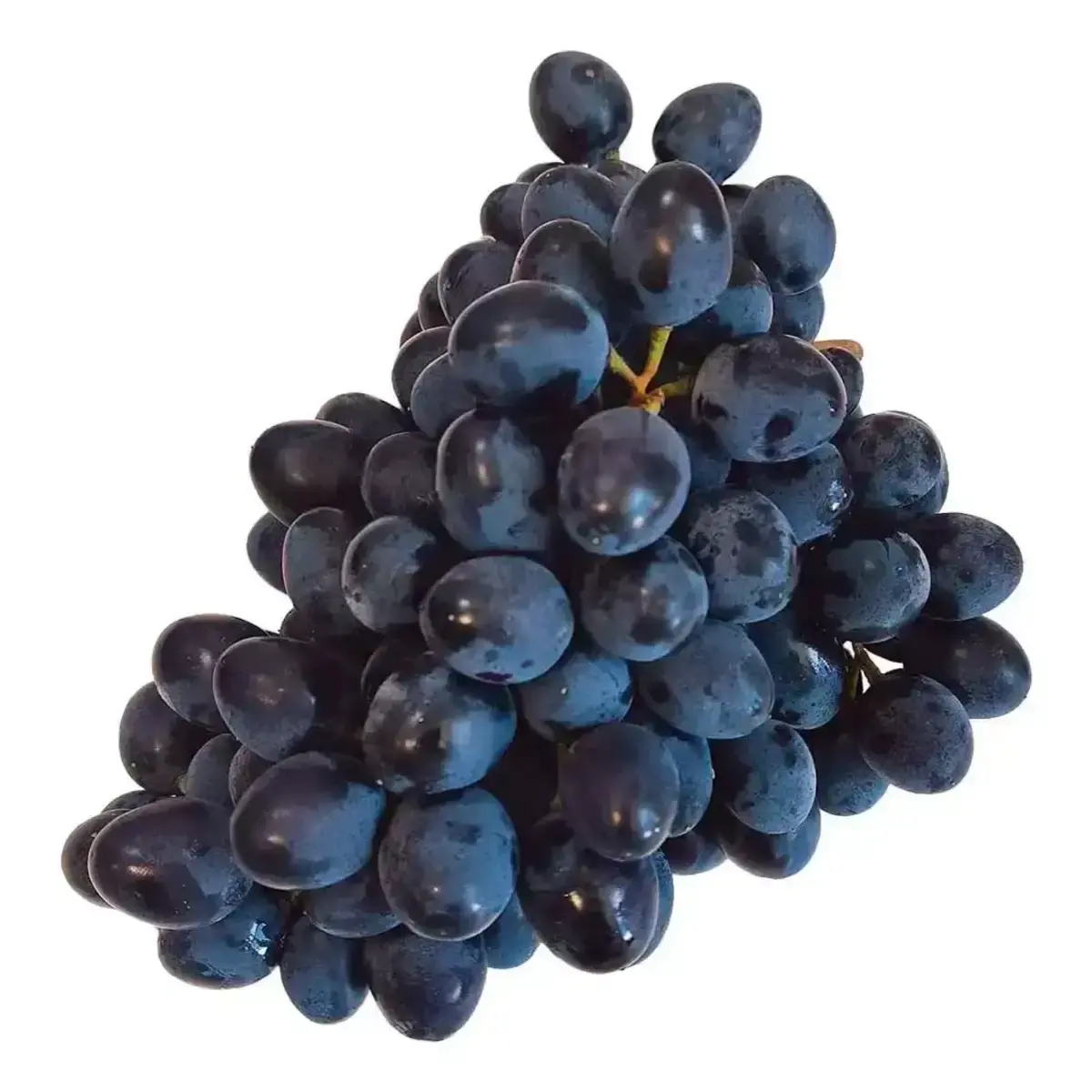 Виноград Черный (м)
