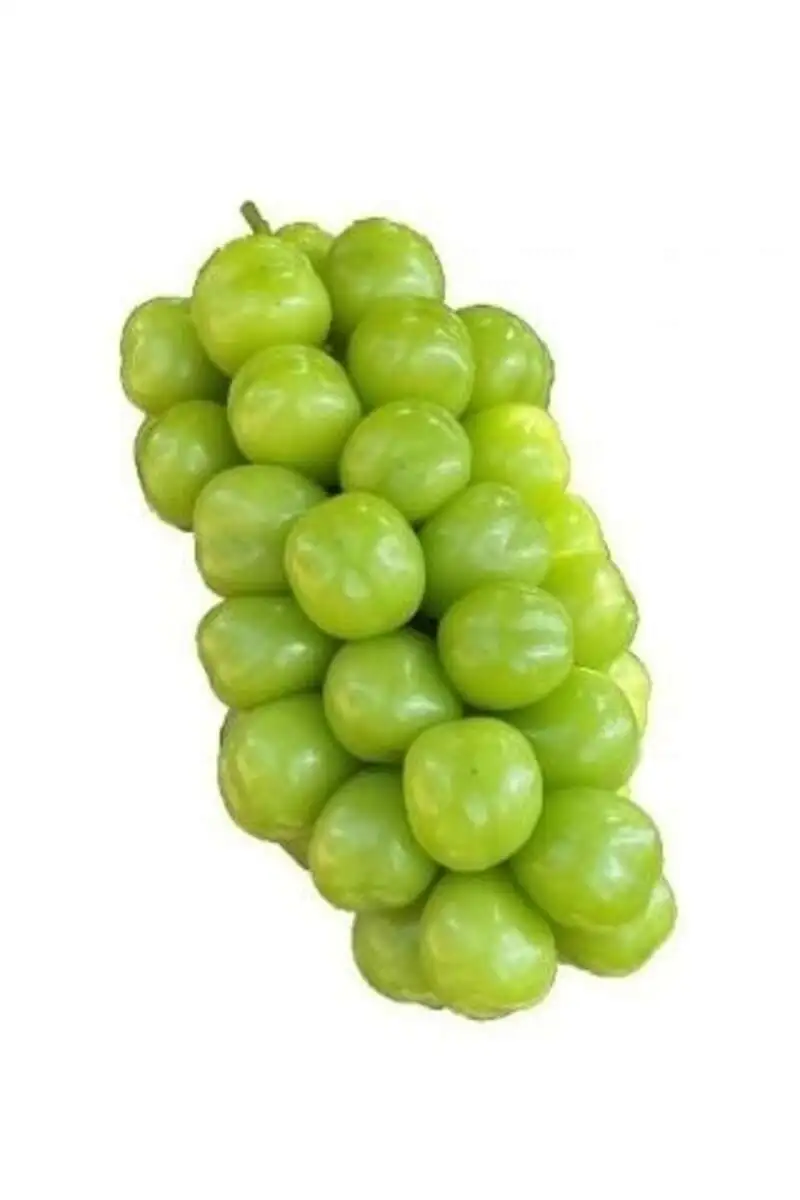 Виноград Китай Зеленый(м)