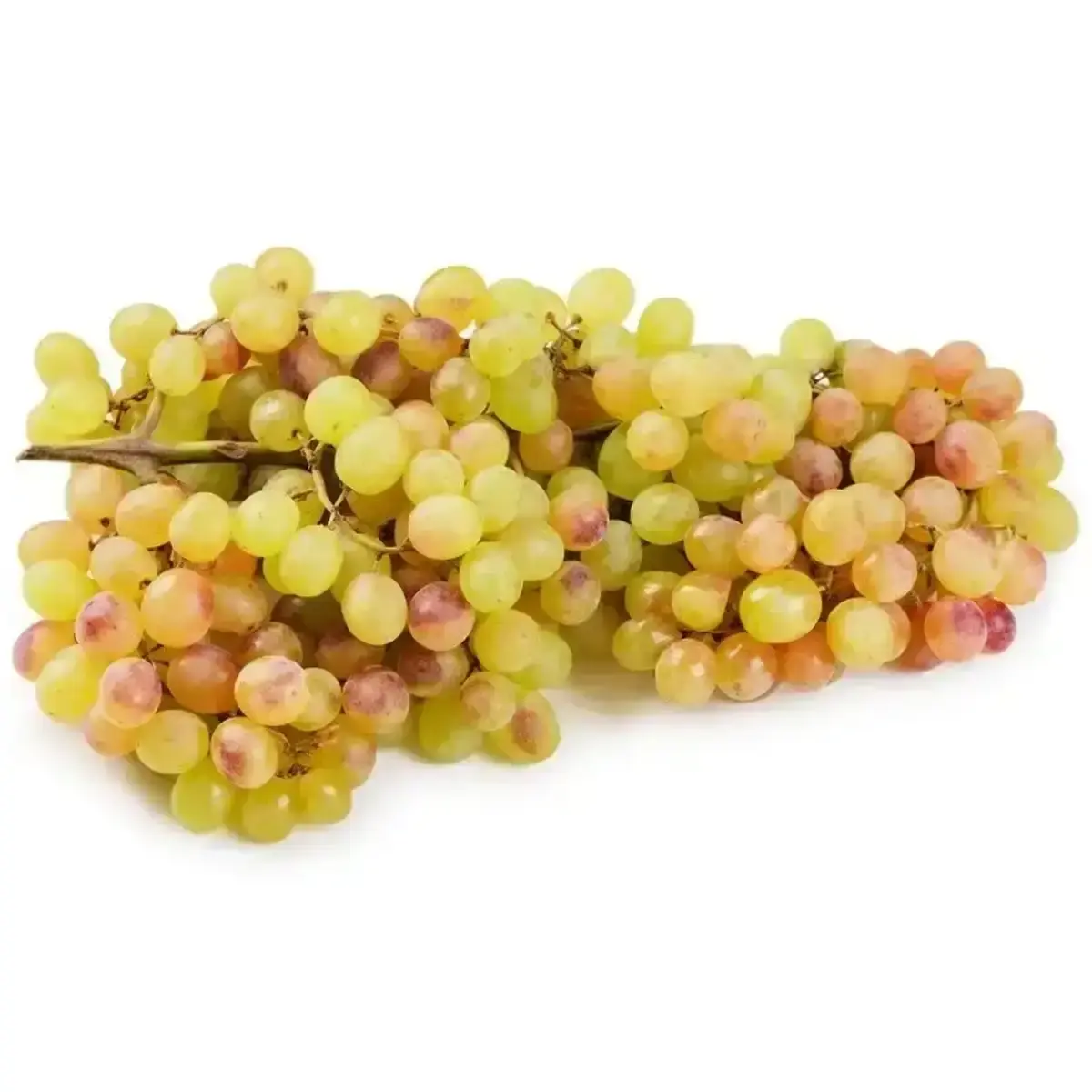 Виноград КишМиш(м)