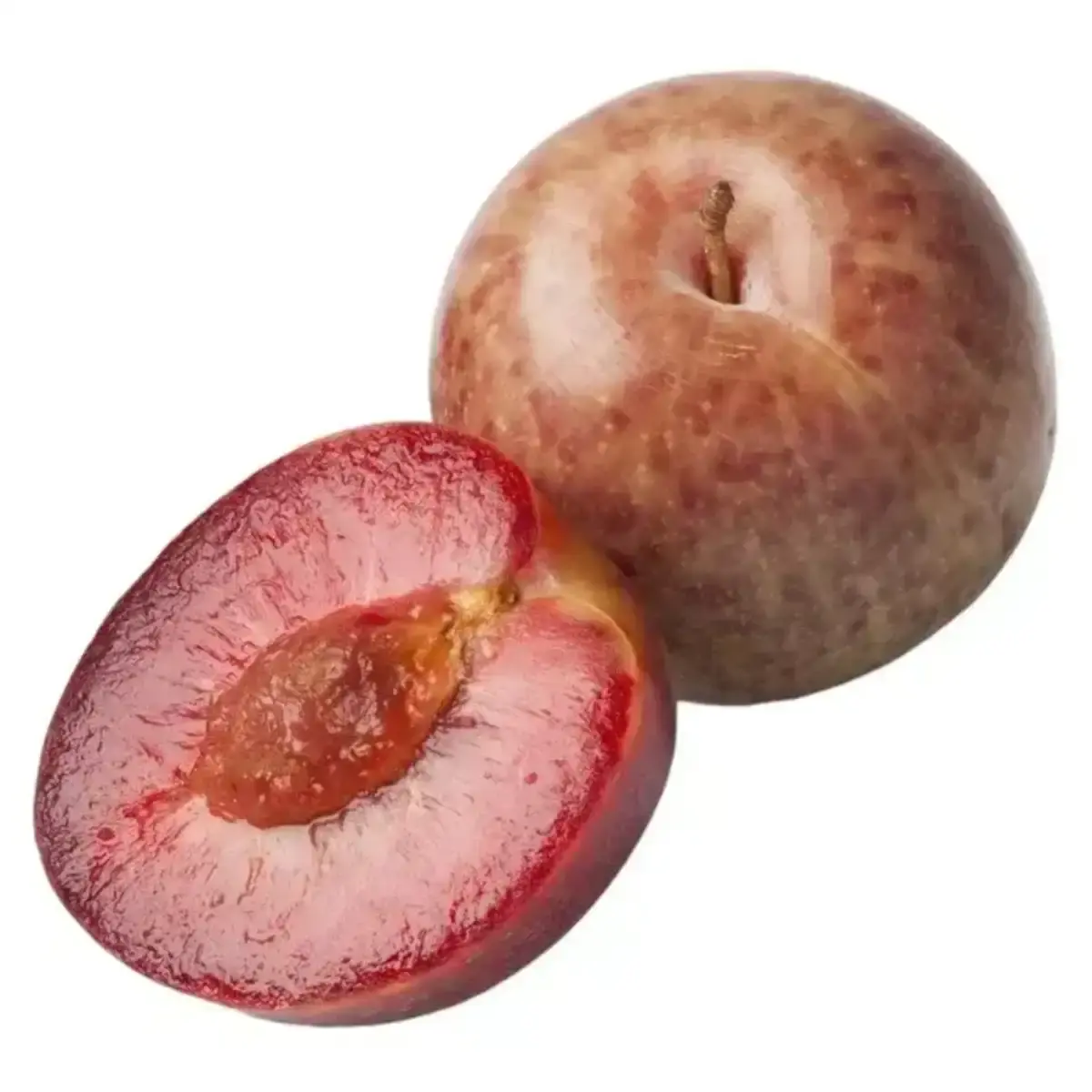 Слива Тигровая (м)