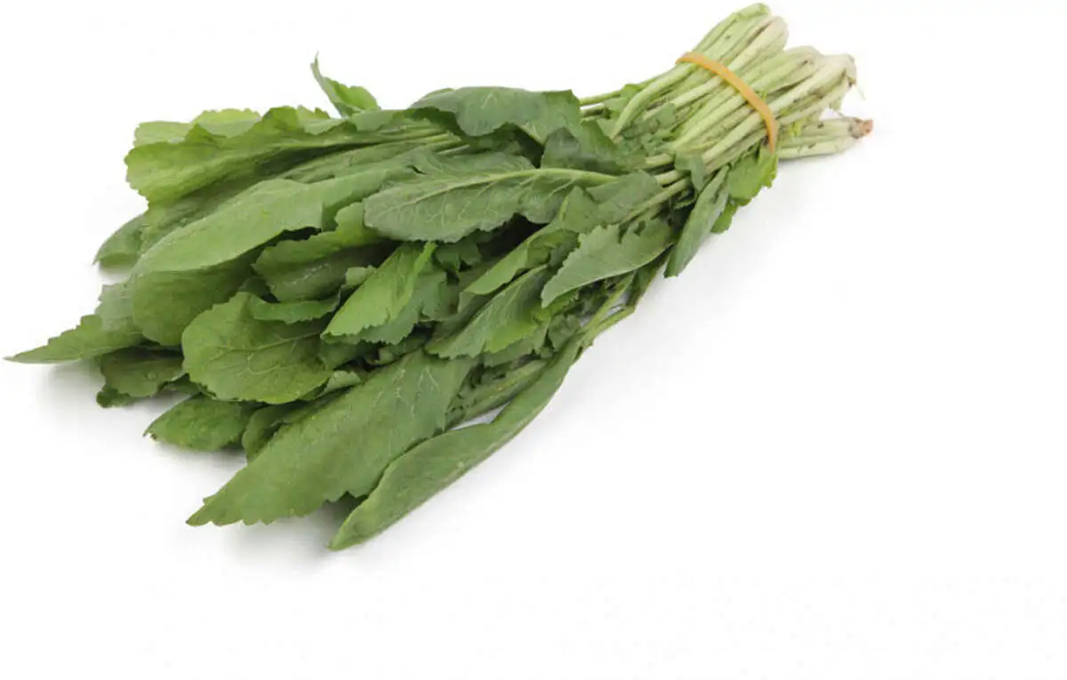 Котем Кресс-салат(м)