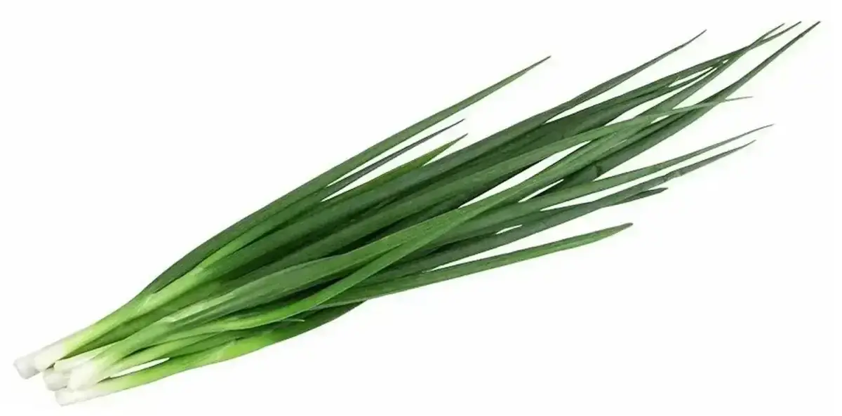 Лук зеленый(м)