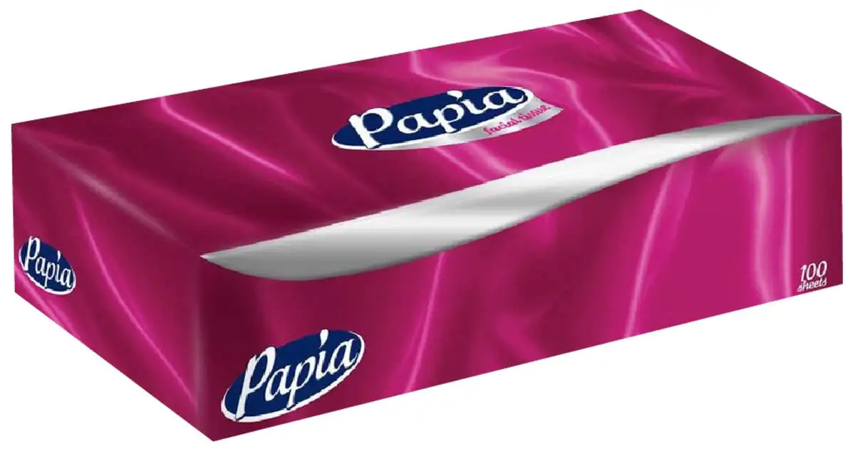 SALFETKA PAPIA FACIAL TISSUE 100ED QUTU 0447