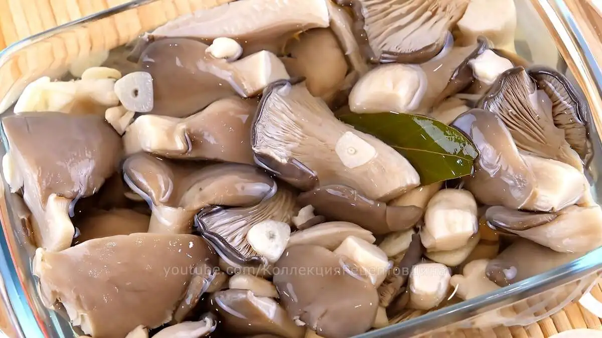 Маринованные грибы "Вешенка"
