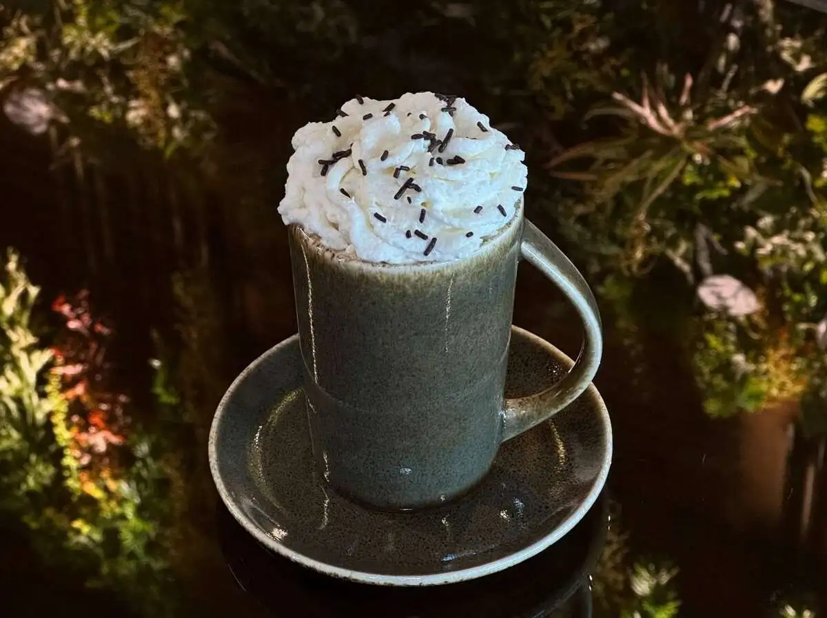 какао со взбитыми сливками и маршмеллоу/cocoa with whipped cream and marshm
