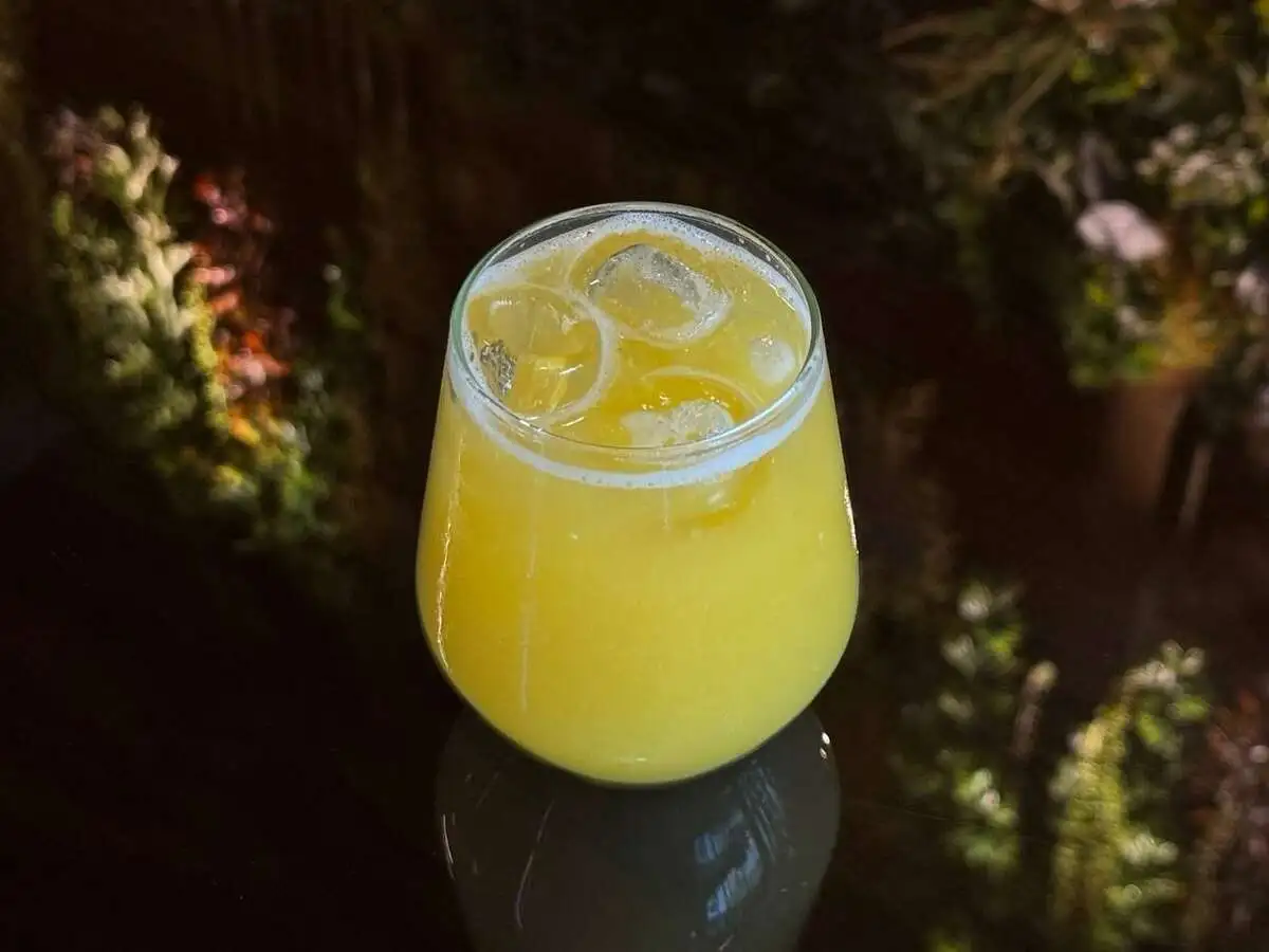 Orange Fresh