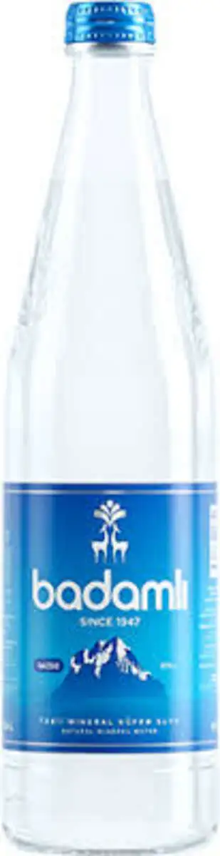 SU BADAMLI QAZSIZ SUSE 0.6 LT