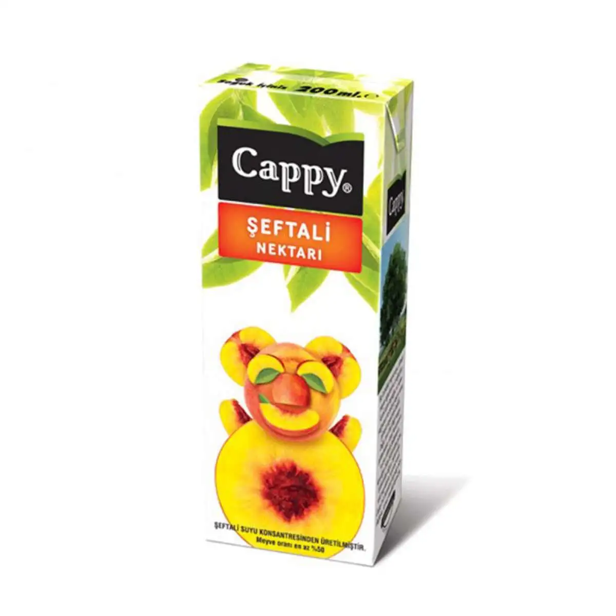 SOK CAPPY SAFTALI  PL 200 ML