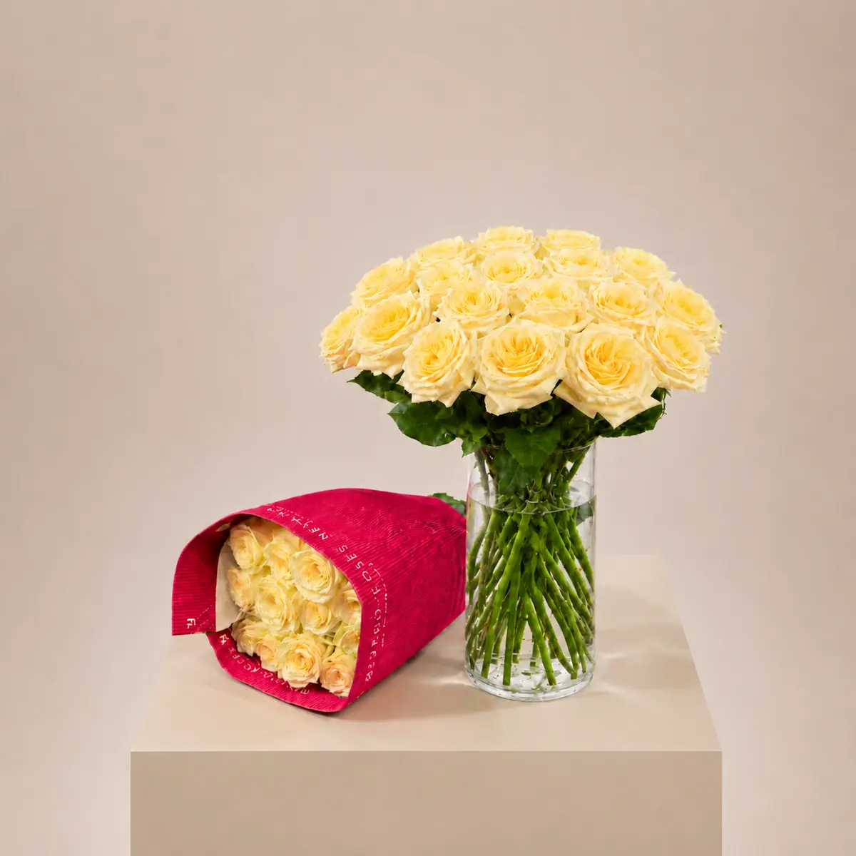 Роза пионовидная Candleligh (Эквадор) 40–50 см, пачка 21 шт
