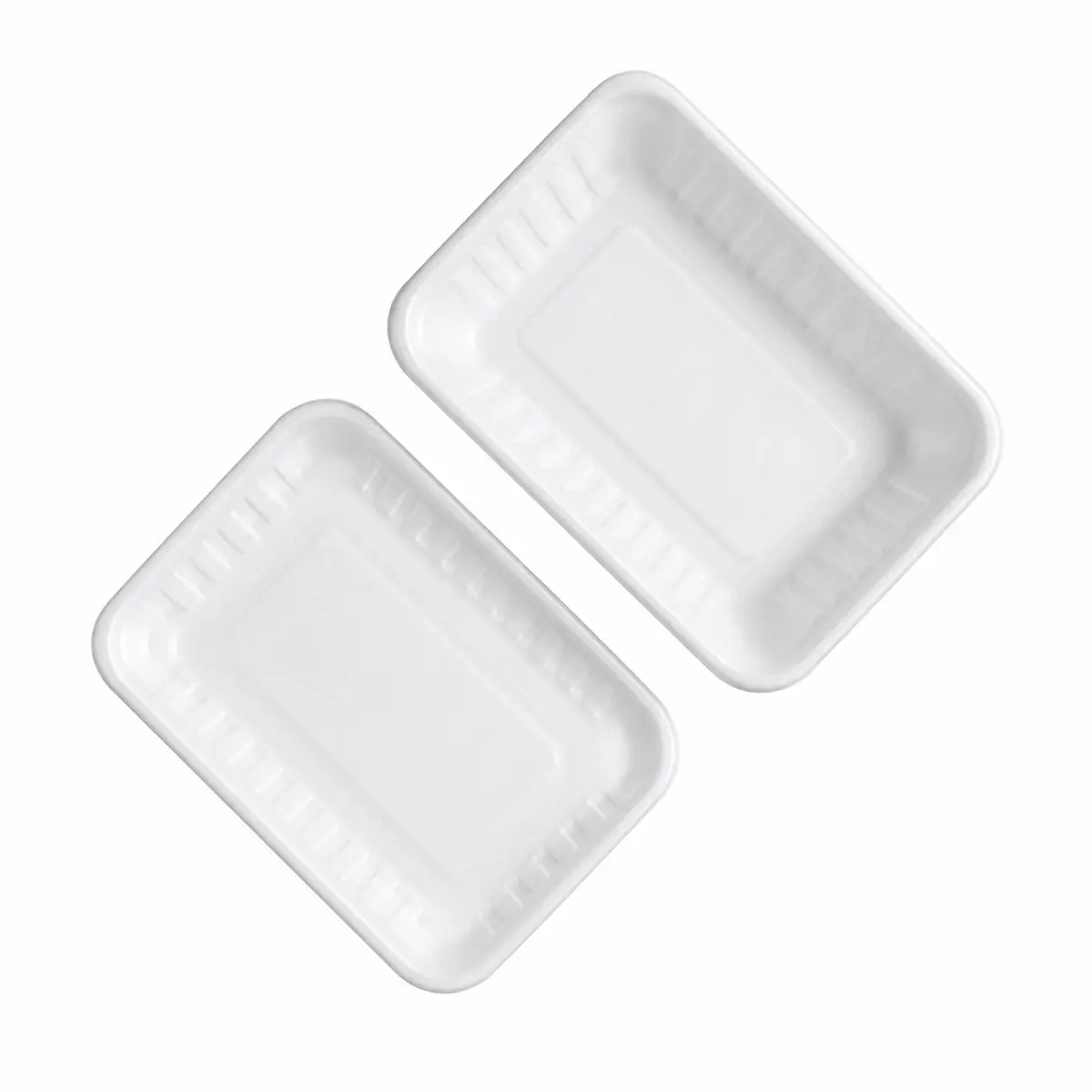 BIOTECH FOOD CONTAINER 1000ML 2LI