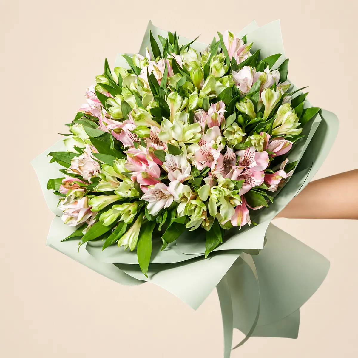 slide-https://cdn.smt.bz/uploads/media/photo/8172369/%D0%90%D0%BB%D1%8C19-1.webp