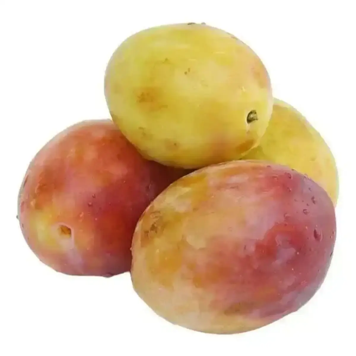 Слива(м)