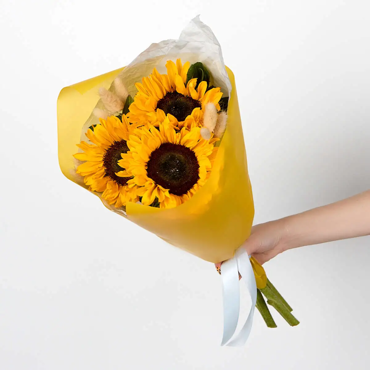 slide-https://cdn.smt.bz/uploads/media/photo/8392092/ASV_0030.webp