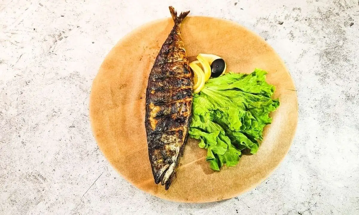 Скумбрия