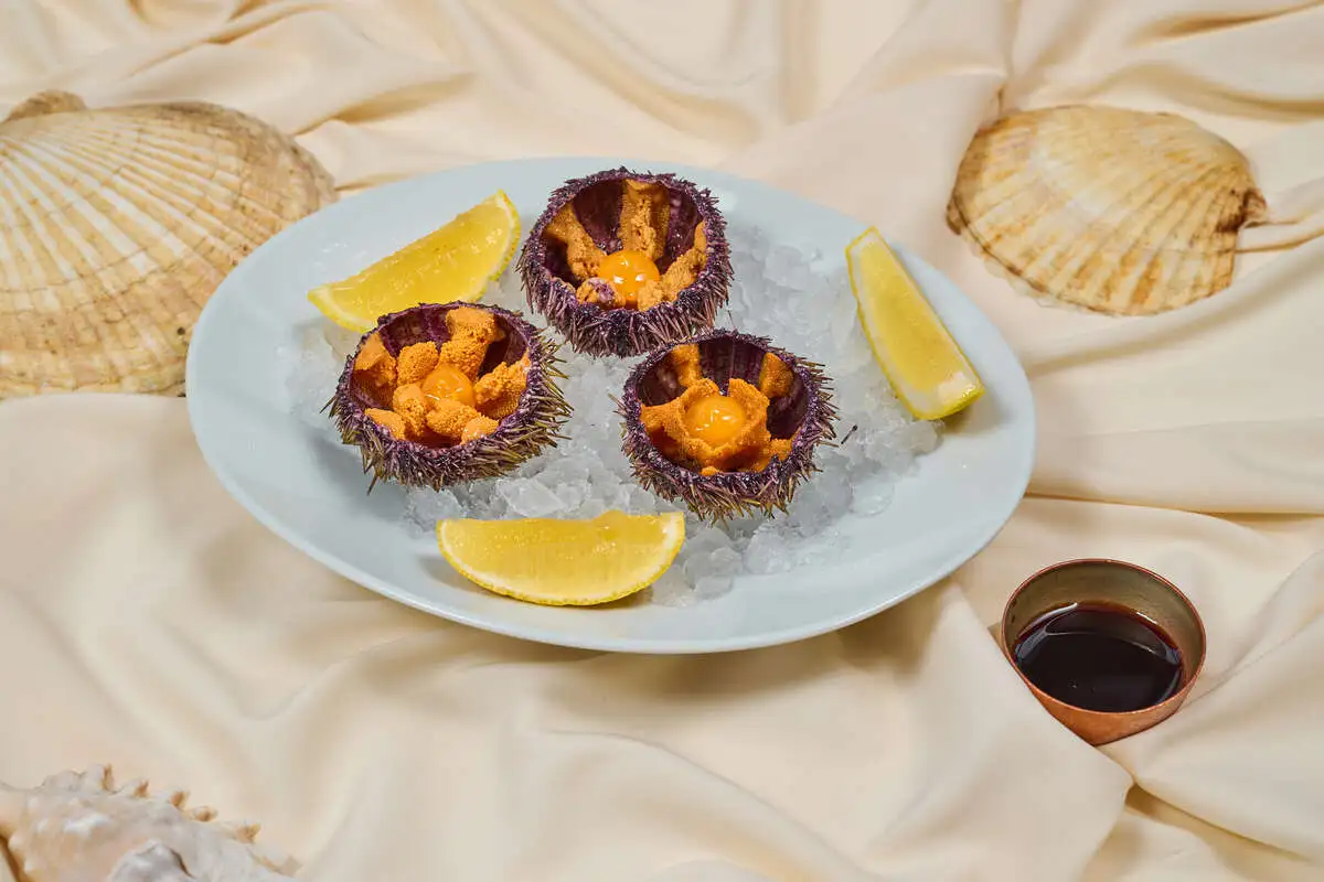 Морской Ёж